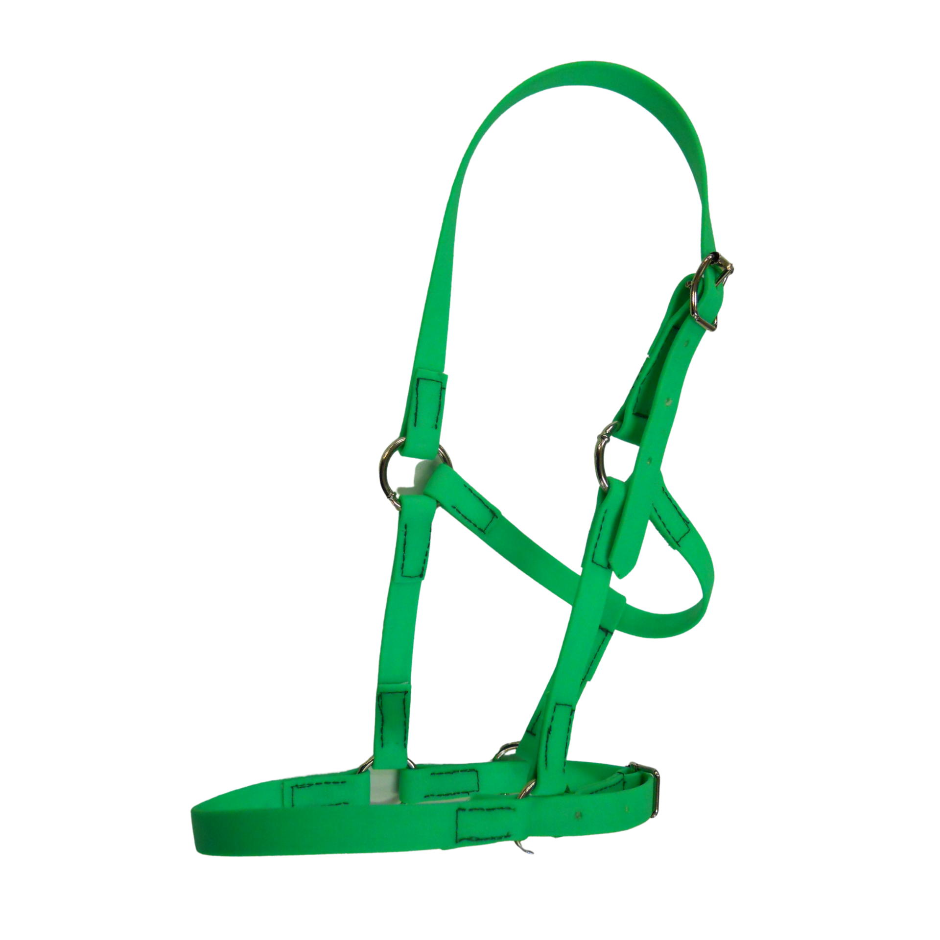 Halter Biothane Solo Foal/Mini
